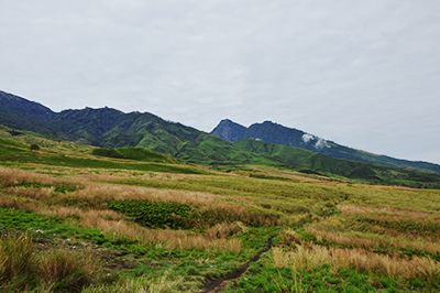 Mount Rinjani fields