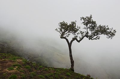 clouds at Rinjani