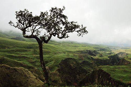 mount Rinjani national park