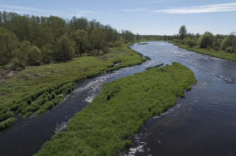 Salaca river