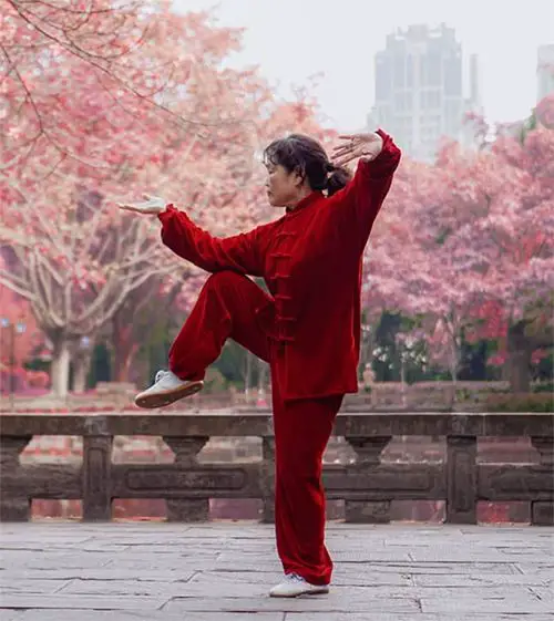 Tai Chi as meditation practice