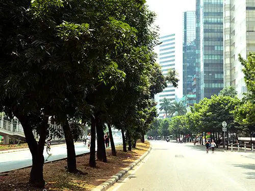 Car free day in Jakarta