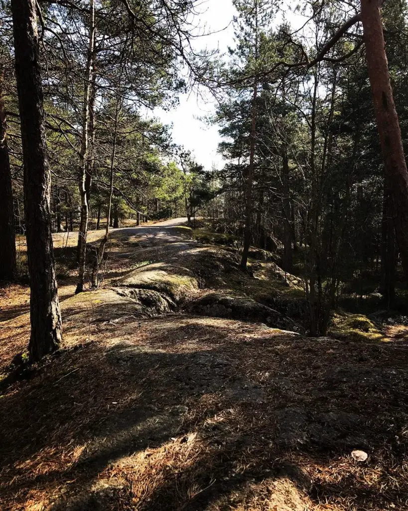 helsinki running routes in the park