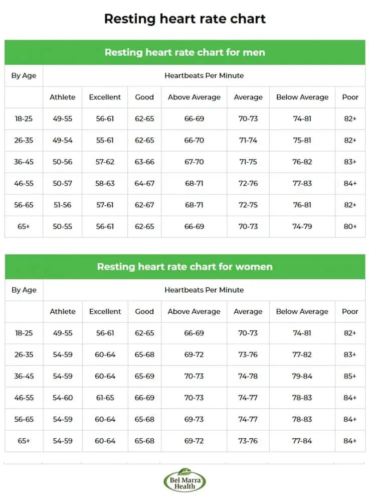 Resting Heart Rate By Age And Gender 