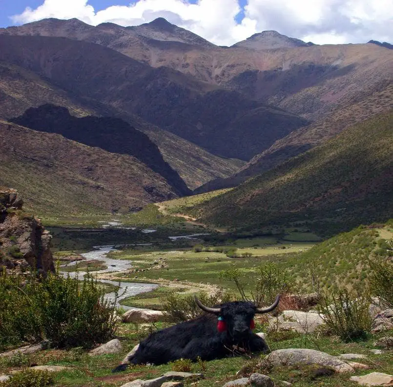 Mountain trekking experience