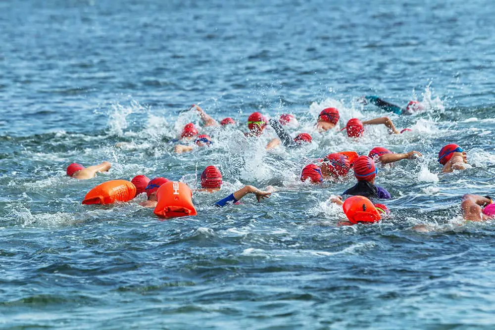 tips for open water swimming